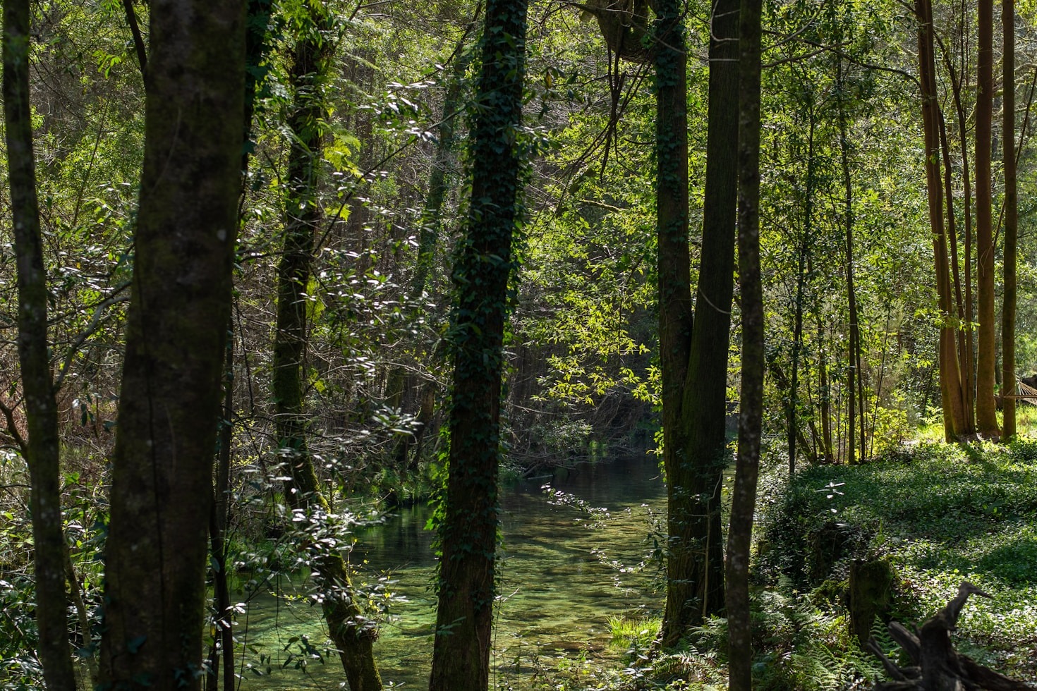 How to Stay Active at Any Age